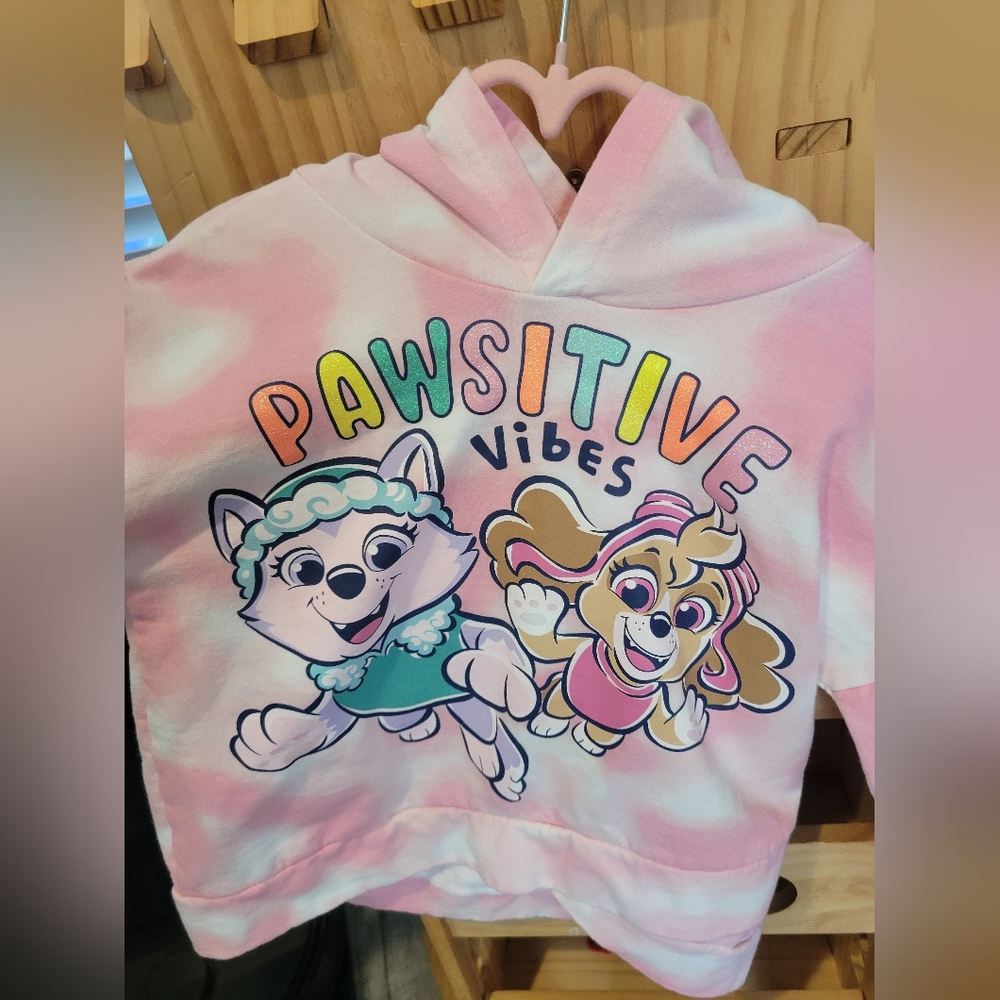 Paw Patrol Hoodie Sweater - Picture 5 of 8